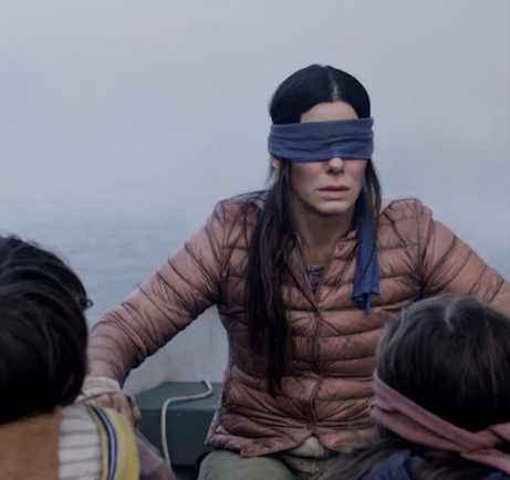 Bird box meme